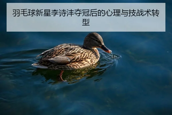 羽毛球新星李诗沣夺冠后的心理与技战术转型